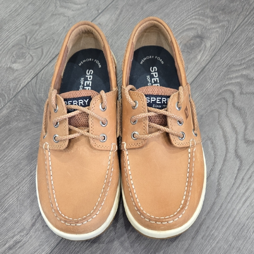 Sperry Men's Brown Boat Shoes